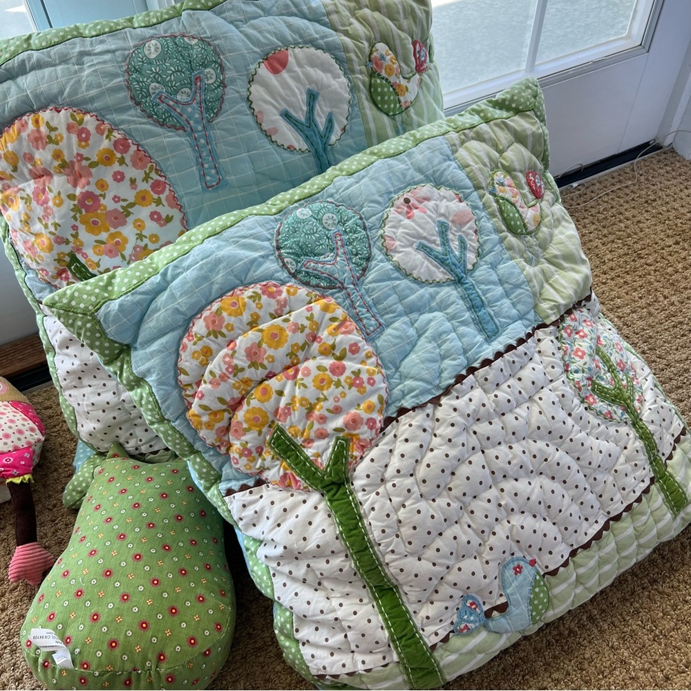 Pottery Barn Kids - euro shams set of 2